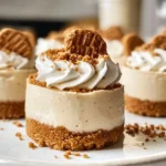 No Bake Mini Biscoff Cheesecakes Rich, Creamy, and Perfectly Bite-Sized