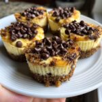 cheesecake bites