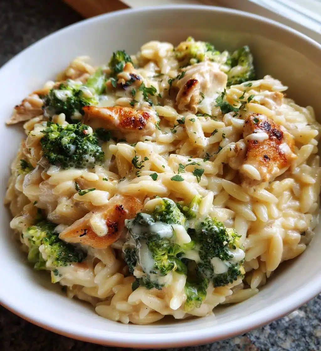 Creamy Cheesy Chicken Broccoli Orzo - detail 1