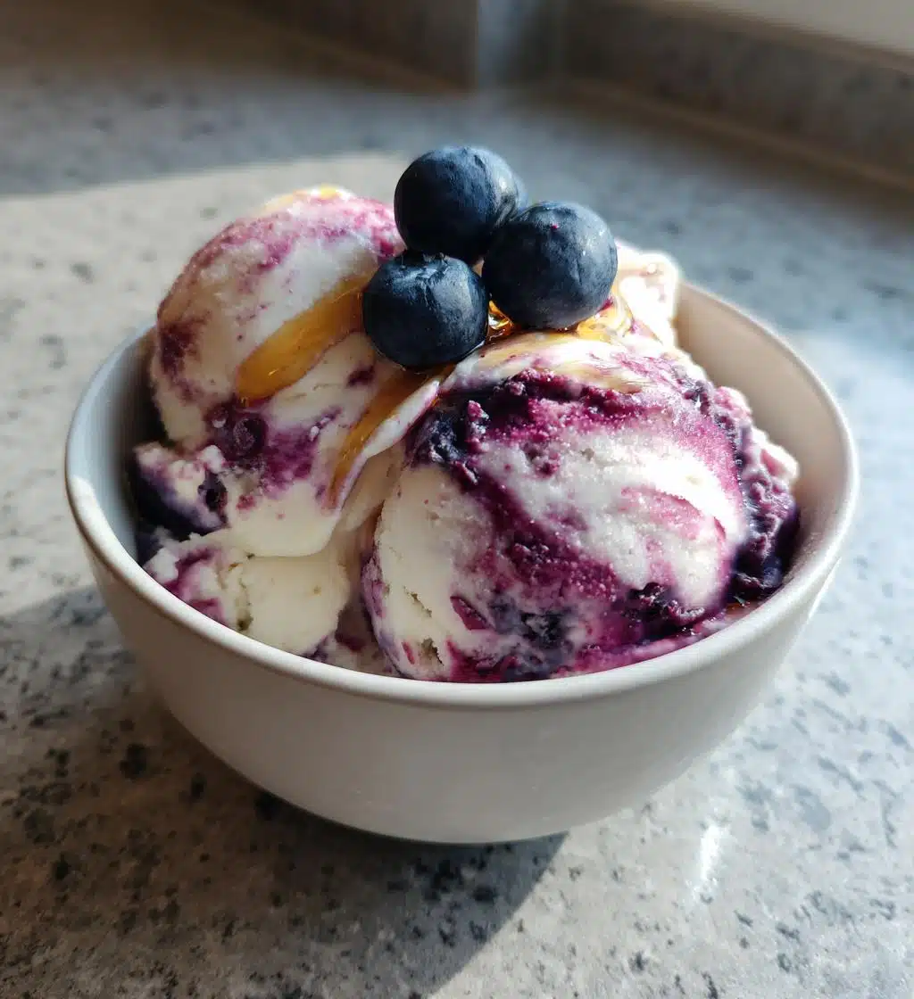 healthy blueberry greek frozen yogurt - detail 1