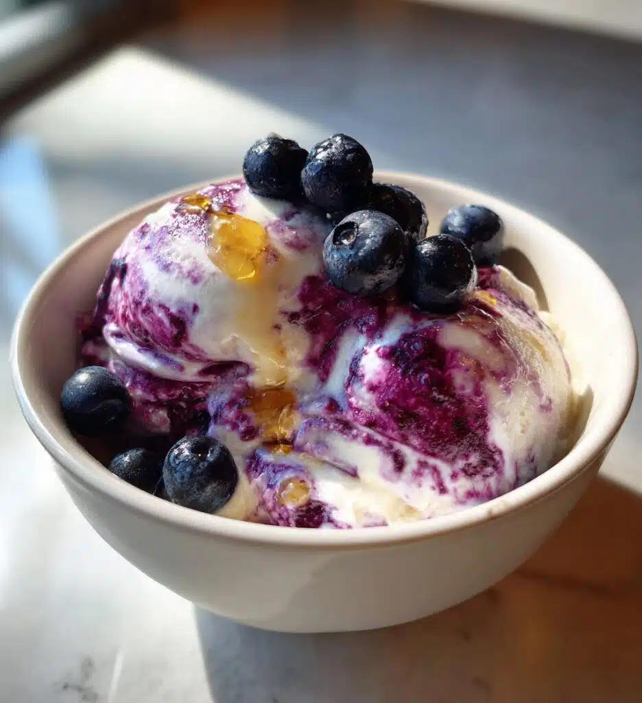healthy blueberry greek frozen yogurt