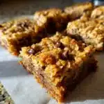oatmeal chocolate chip bars