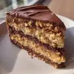 peanut butter chocolate cake vegan gluten free