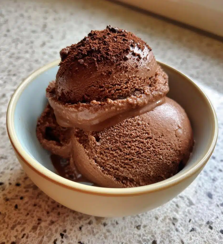 vegan chocolate ice cream