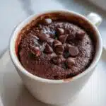vegan chocolate mug cake