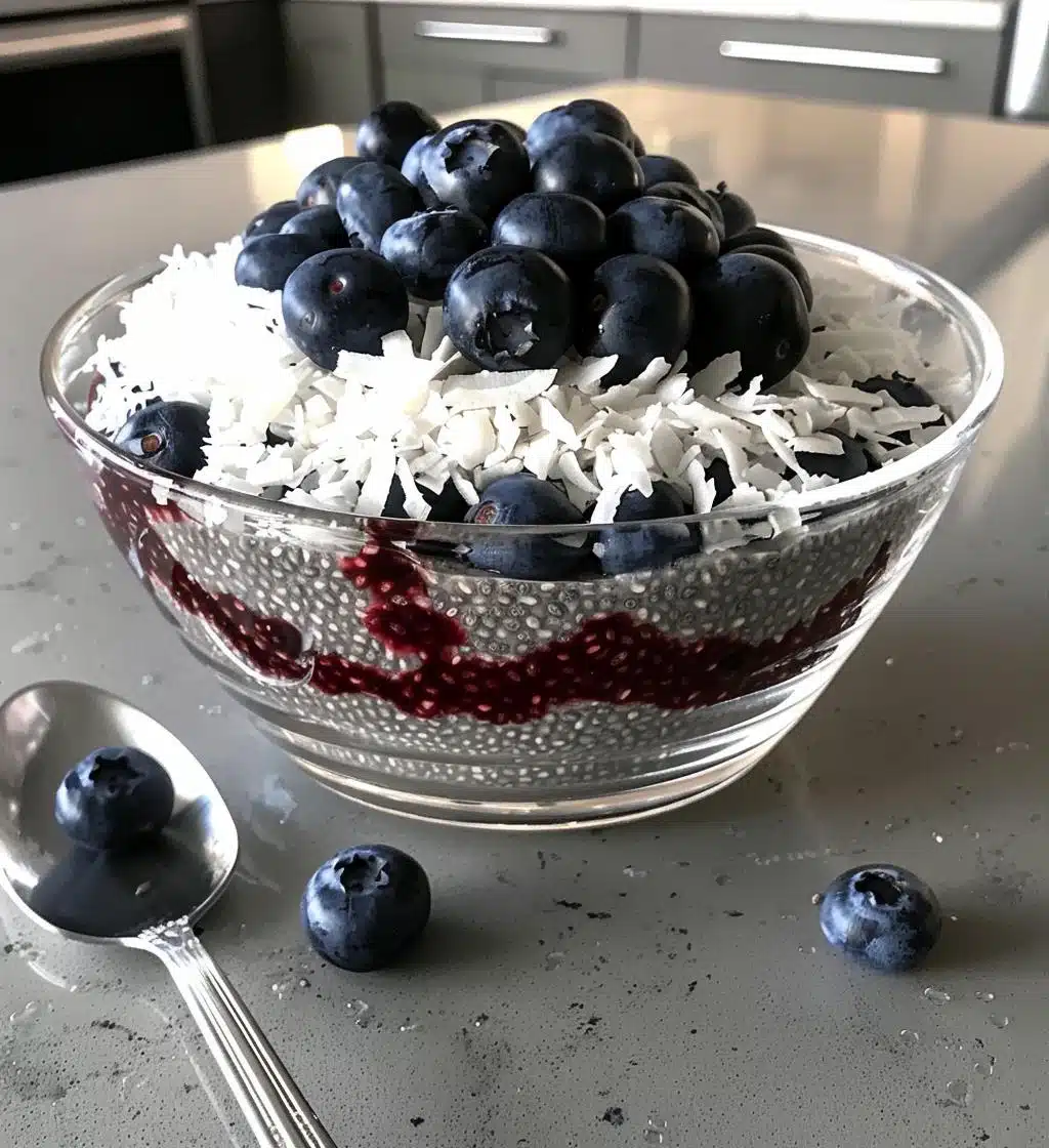 Blueberry Coconut Chia Pudding (unsweetened) - detail 1
