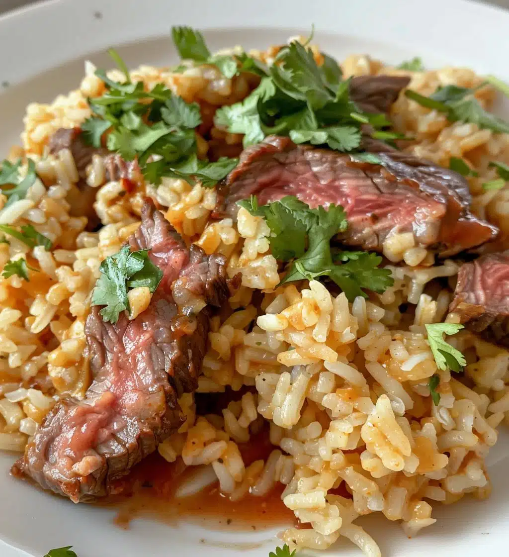 Steak Queso Rice - detail 1