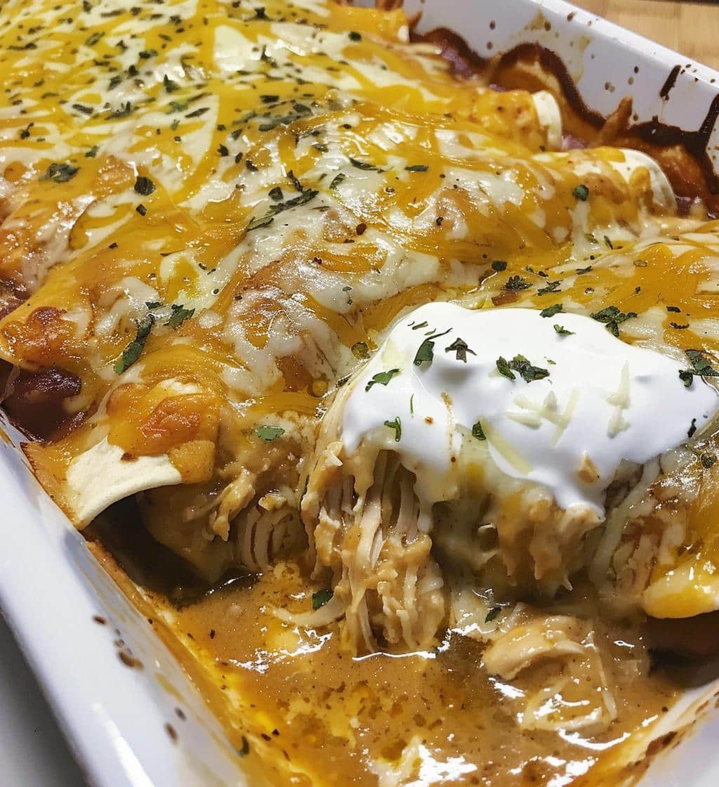 Chicken Enchiladas with Sour Cream Sauce